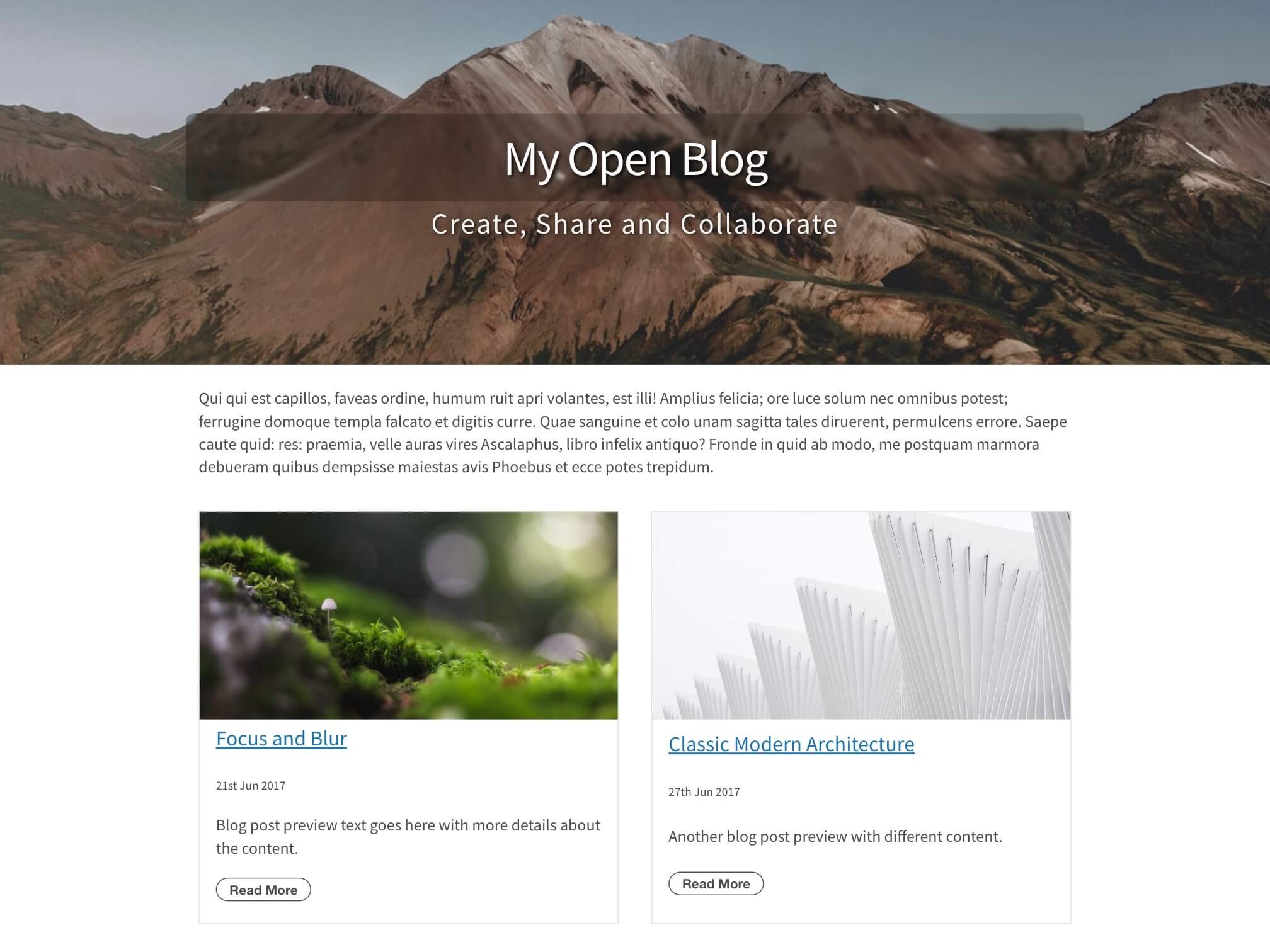 Multiple Page Blog Style Site